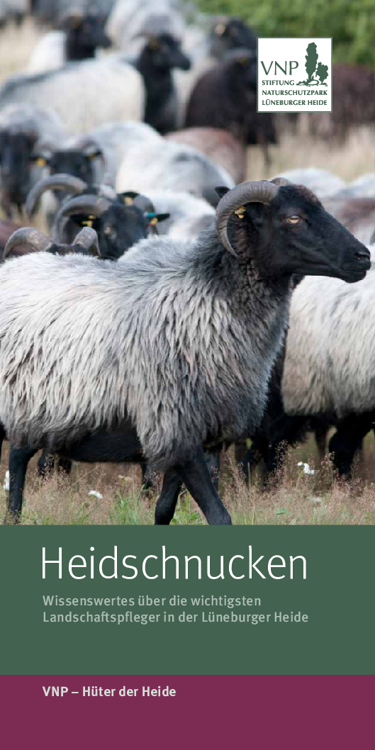 Titelblatt des Faltblatts "Heidschnucken"