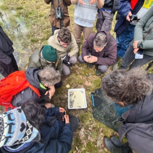 Artenkenntnisseminar in Wilsede | VNP Stiftung Naturschutzpark