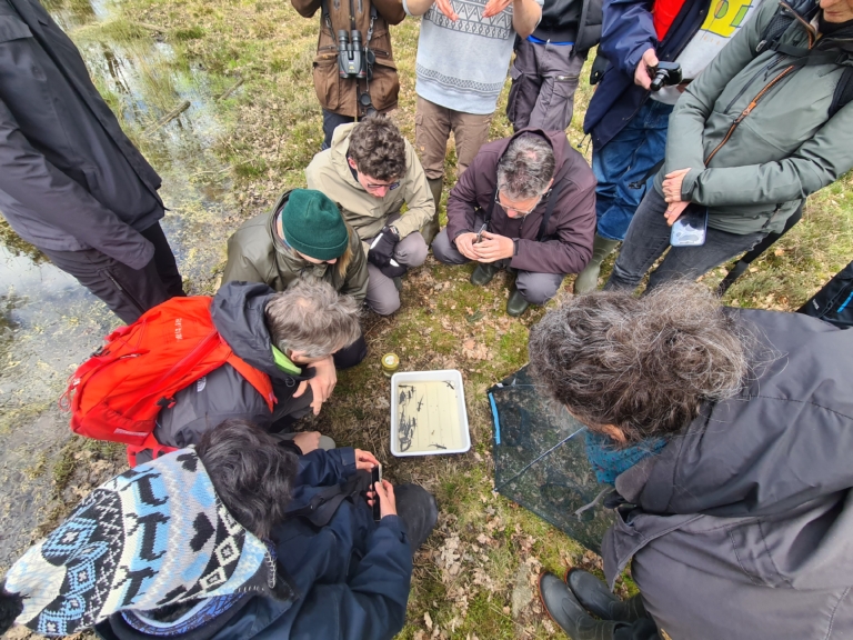 Artenkenntnisseminar in Wilsede | VNP Stiftung Naturschutzpark