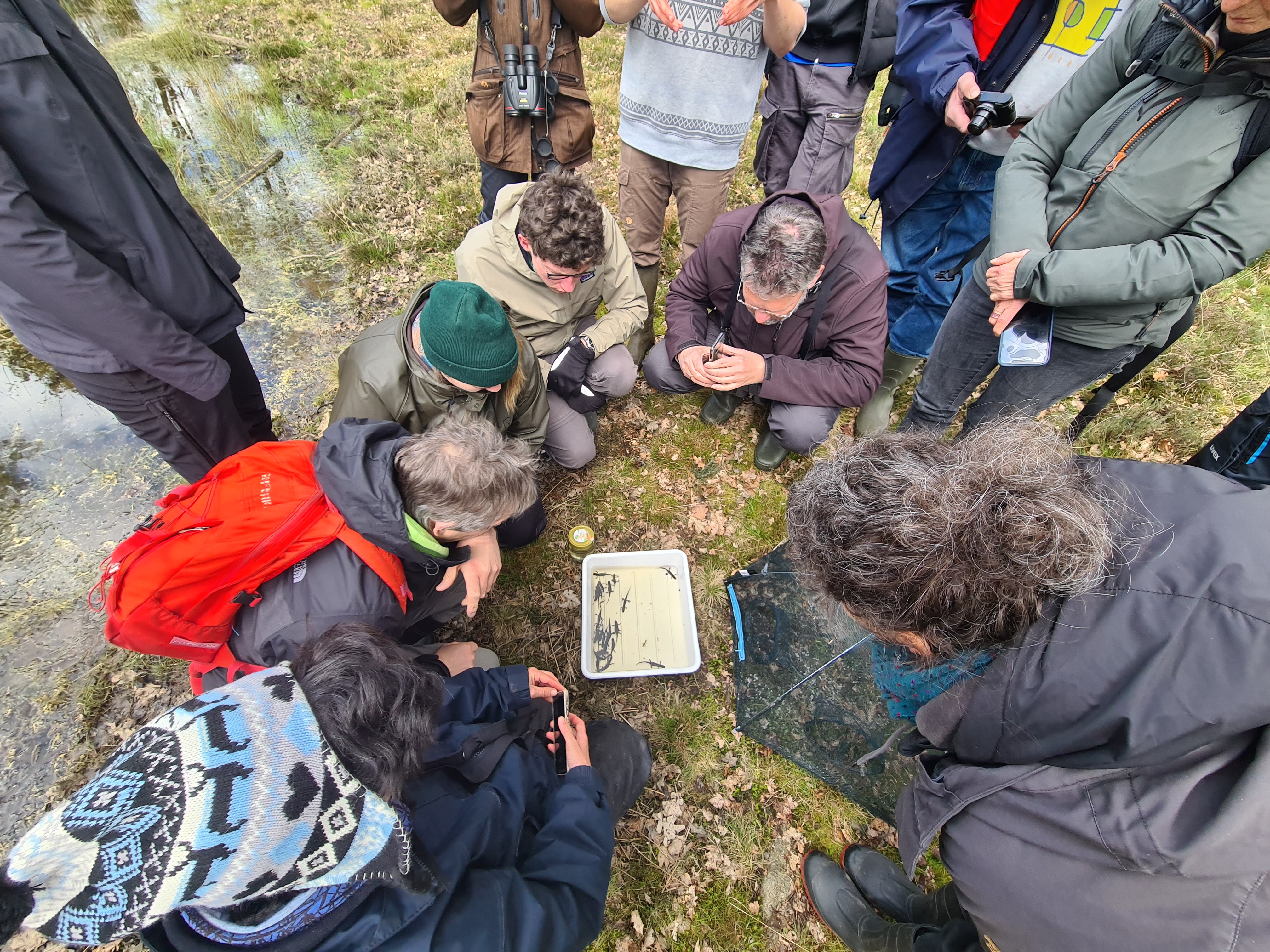 Artenkenntnisseminar in Wilsede | VNP Stiftung Naturschutzpark