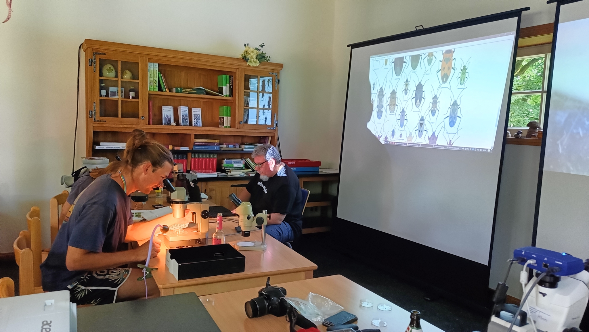 Arbeit mit dem Mikroskop: Artenkenntnis-Seminar Wilsede 2024 | VNP Stiftung Naturschutzpark Lüneburger Heide