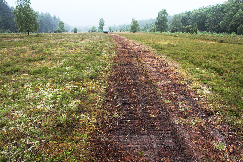 Heidepflege: Entmoosen | VNP Stiftung Naturschutzpark