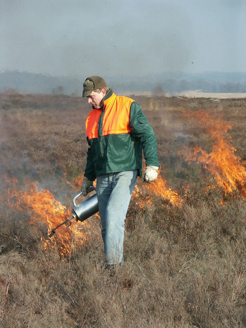 Heidebrand: Punktuelles Anzünden mit der "drip torch"/Tropffackel | VNP Stiftung