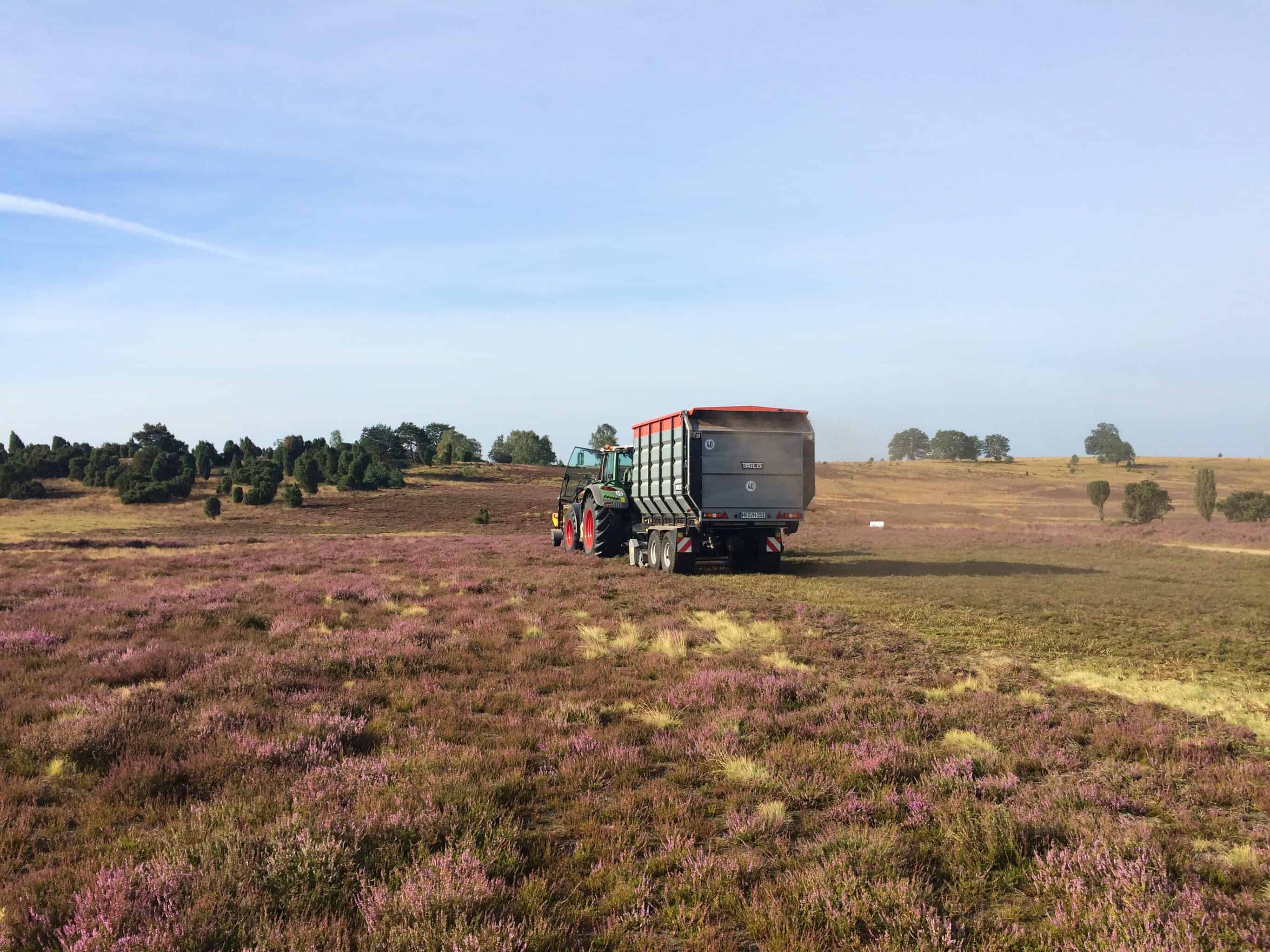 Heideplaggmaschine bei der Arbeit | VNP Stiftung Naturschutzpark Lüneburger Heide